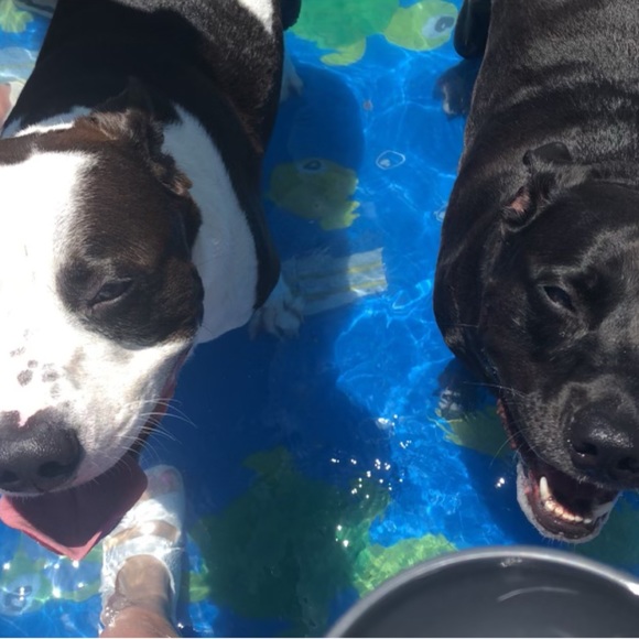 Meet your Posher, Mike - Picture 7 of 8